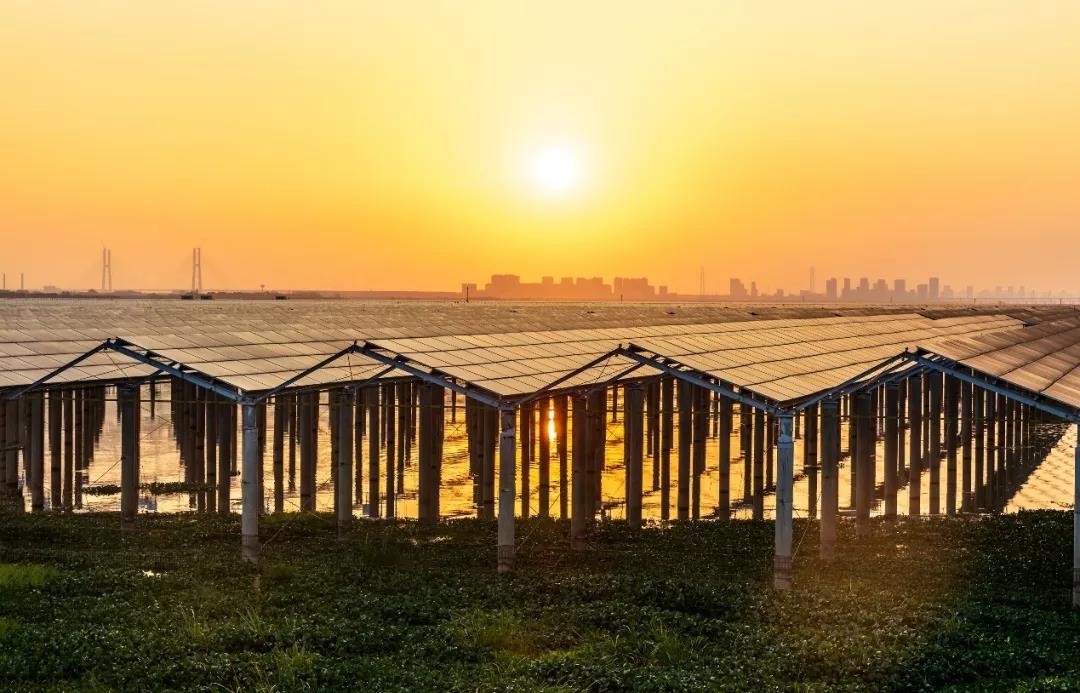 Beyond Success - www.guibinghui.com Achieved a Preferred Scale of 1120 MW in Jiangxi